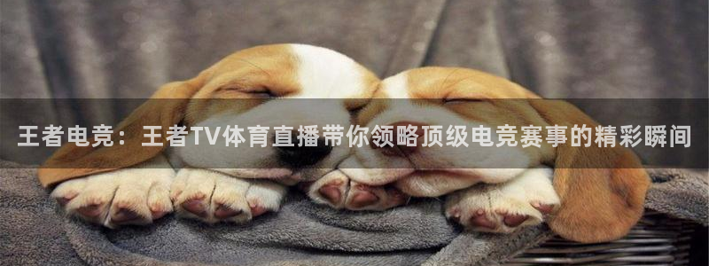88看球nba直播吧：王者电竞：王者TV体育直播带你领略顶级电竞赛事的精彩瞬间