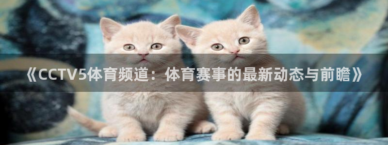 88看球直播网：《CCTV5体育频道：体育赛事的最新动态与前瞻》
