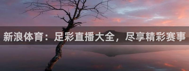 88看球直播平台：新浪体育：足彩直播大全，尽享精彩赛事