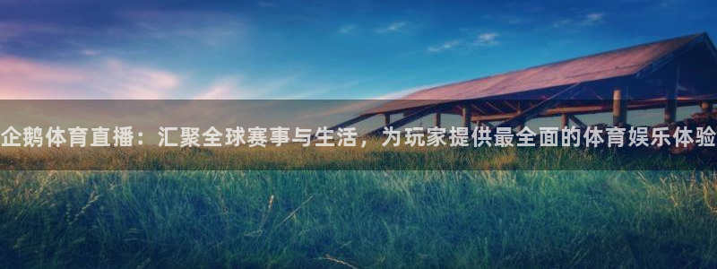 88看球体育：企鹅体育直播：汇聚全球赛事与生活，为玩家提供最全面的体育娱乐体验