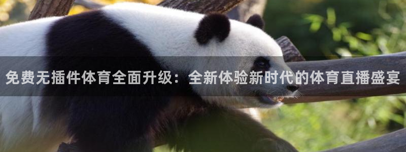 88看球直播nba直播：免费无插件体育全面升级：全新体验新时代的体育直播盛宴