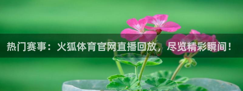 888看球nba直播免费：热门赛事：火狐体育官网直播回放，尽览精彩瞬间！