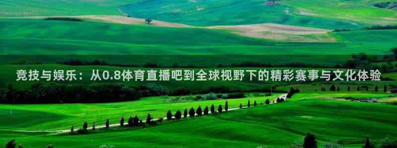 88看球直播网：竞技与娱乐：从0.8体育直播吧到全球视野下的精彩赛事与文化体验